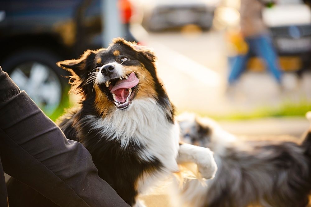 Photograph by Анастасия Глущенко