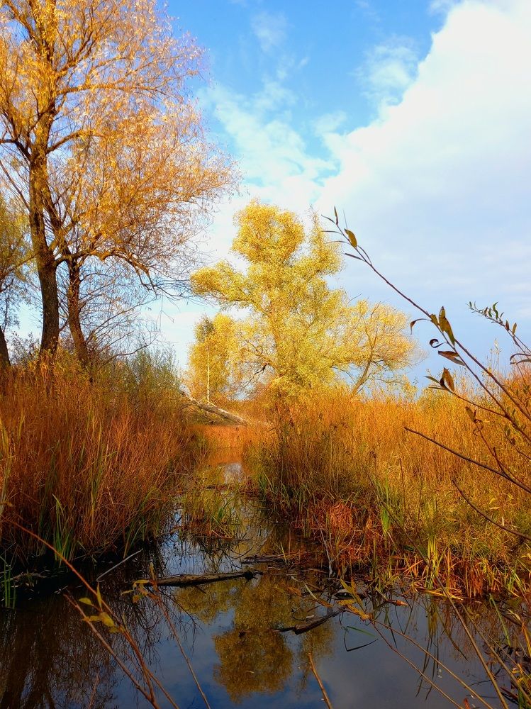 Photograph by Яна