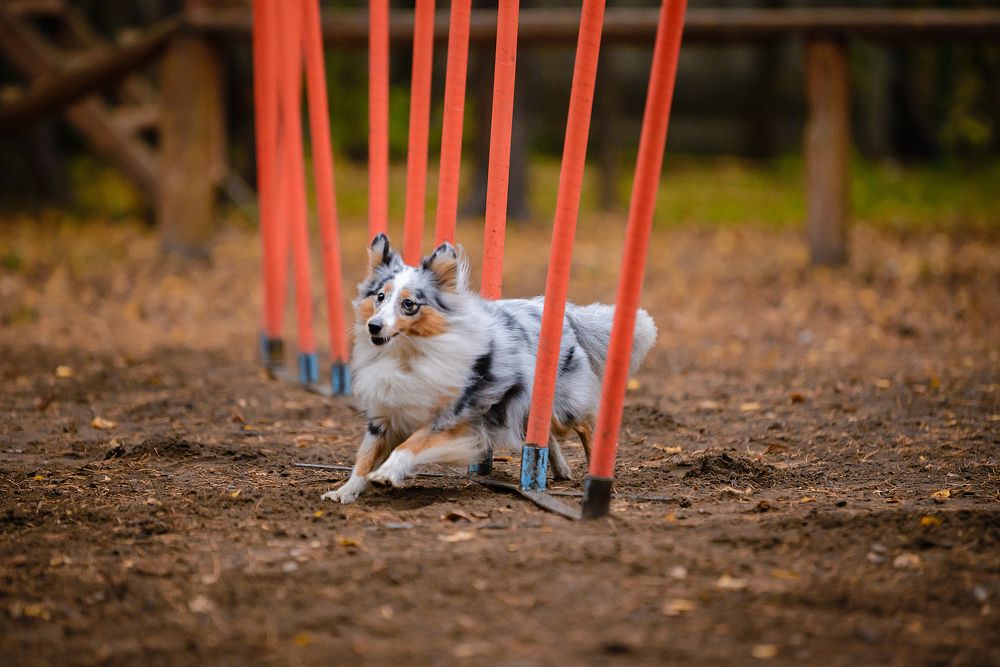 Photograph by Анастасия Глущенко