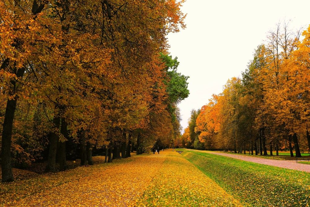 Photograph by Владимир Грибков