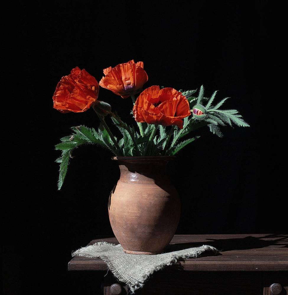 Photograph by Александра