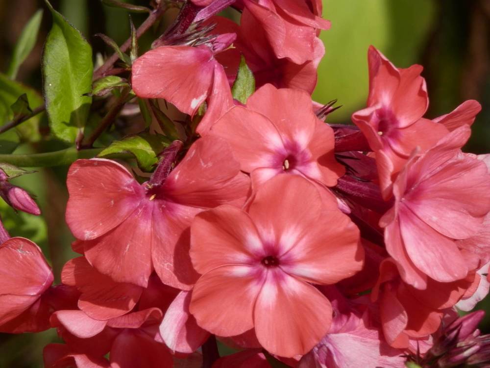 Photograph by Георгий Салюков