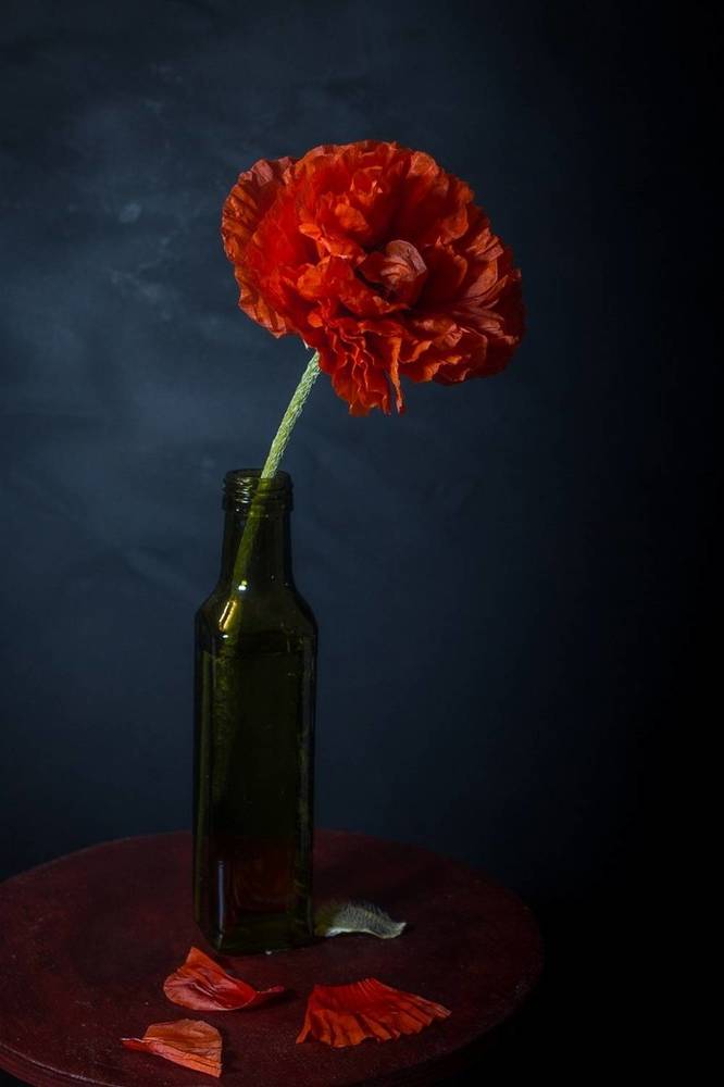 Photograph by Ольга Сергеенко