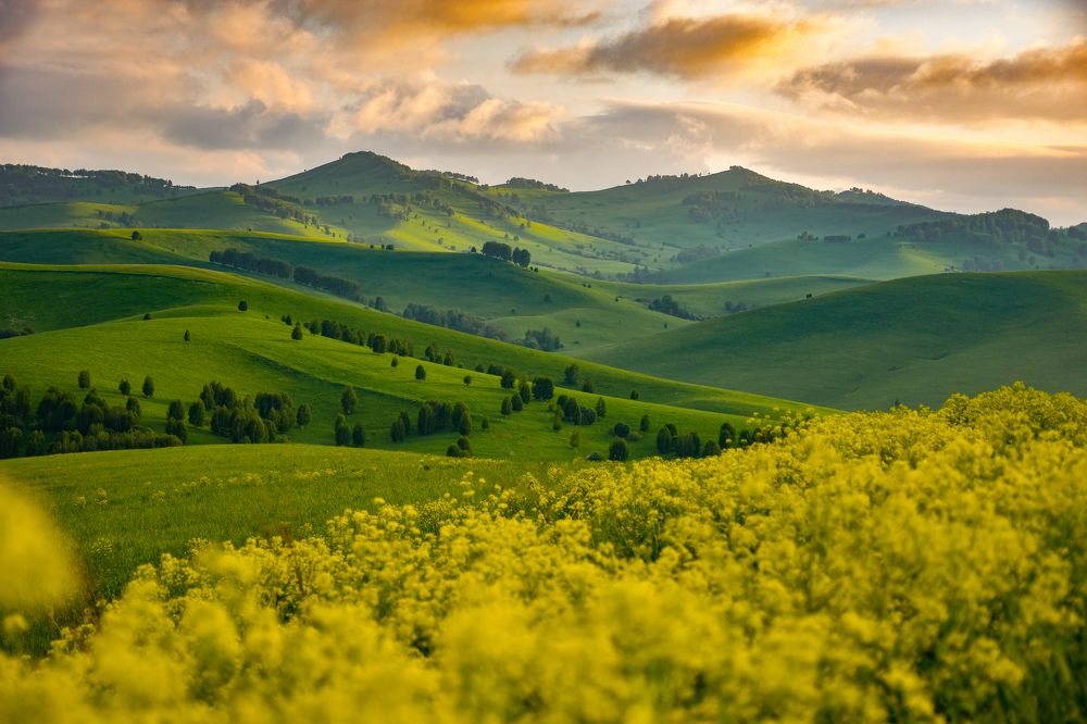 Фотография автора Эльвира Чернова
