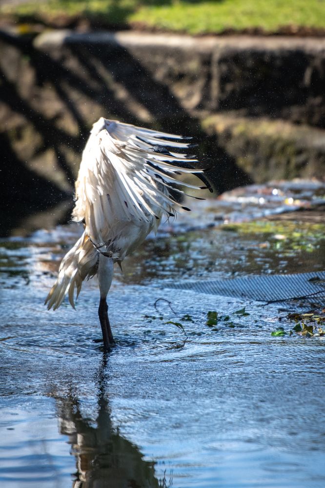 Photograph by Ismail Hassanaly