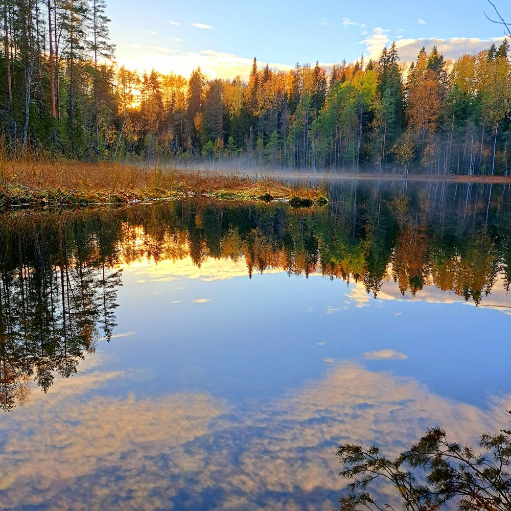 Photograph by Галина Перепечаева