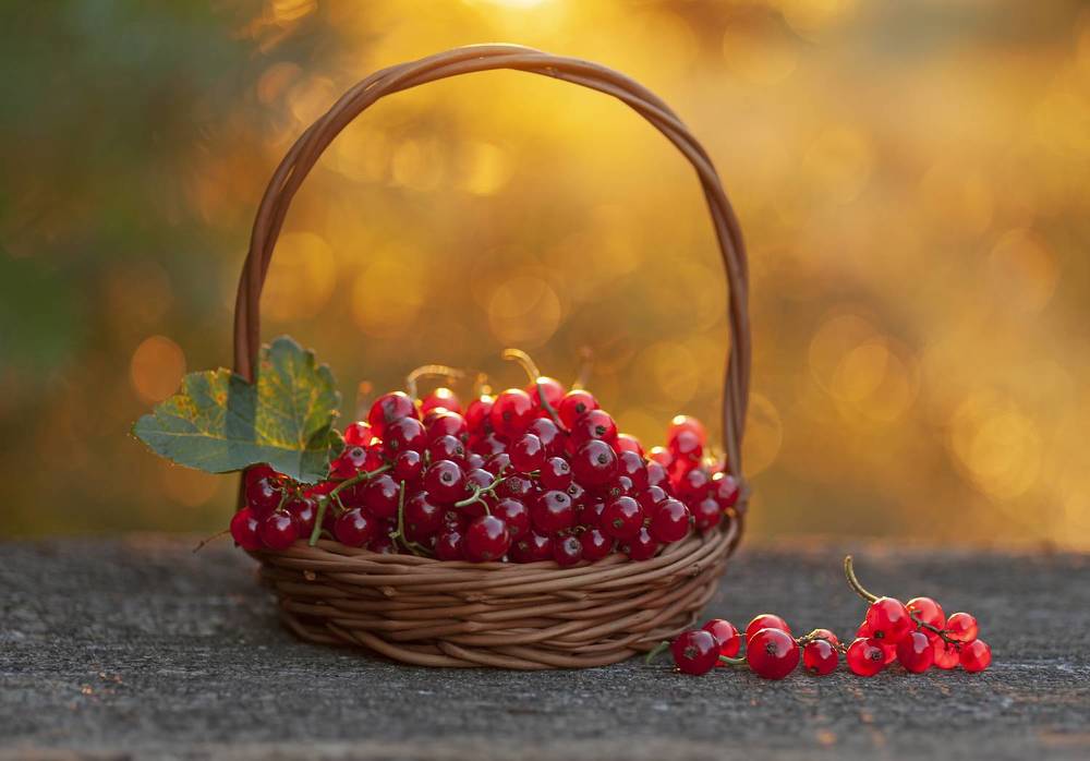 Photograph by Александр Гвоздь