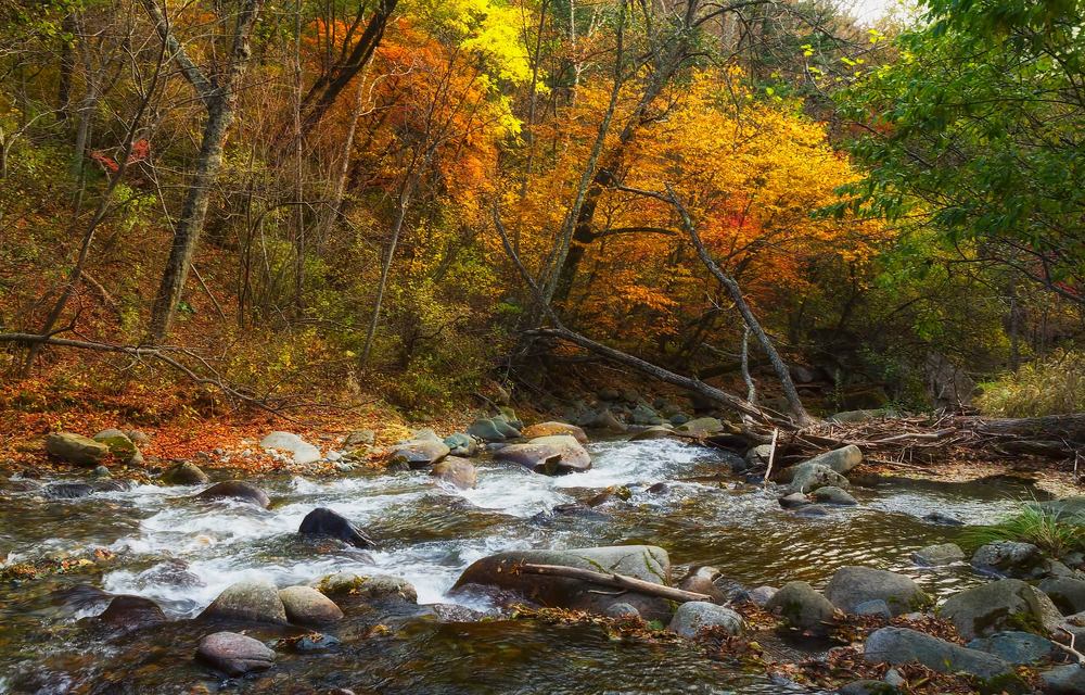 бежит, журчит, холодный с гор..
