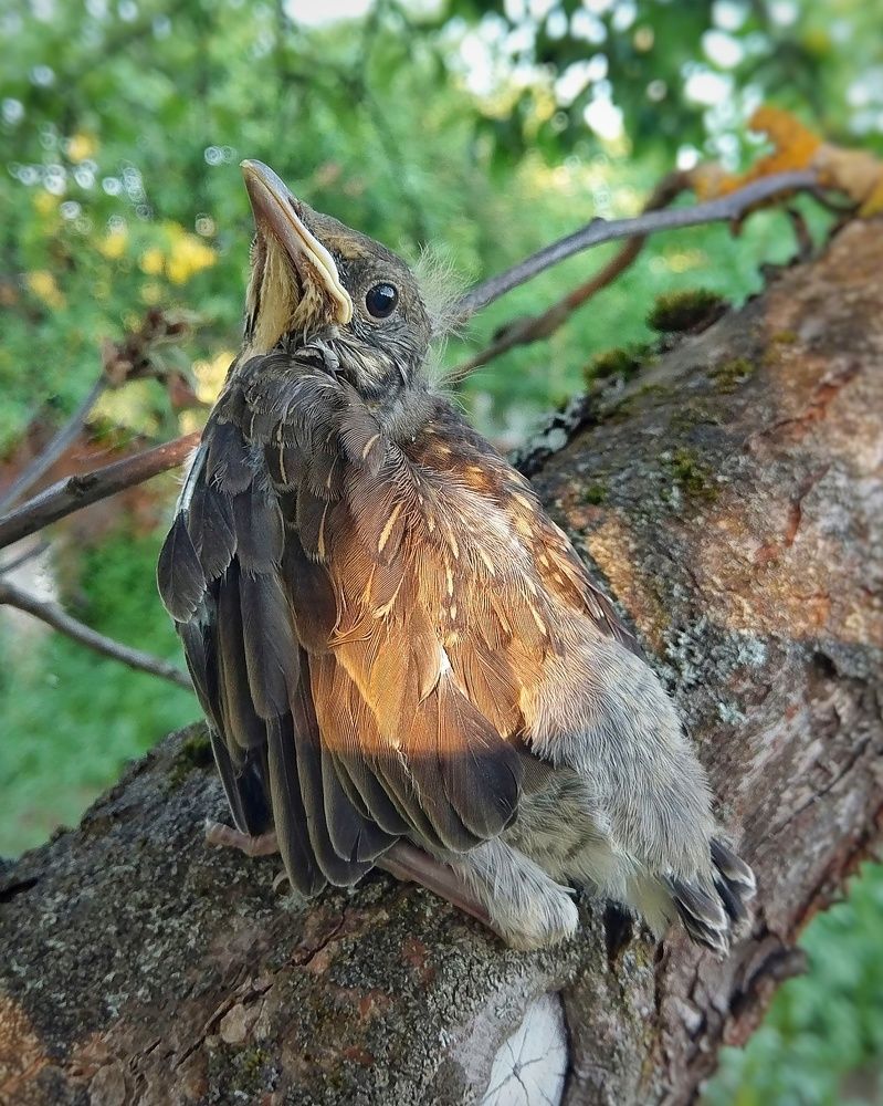 Photograph by Петр Поспелов