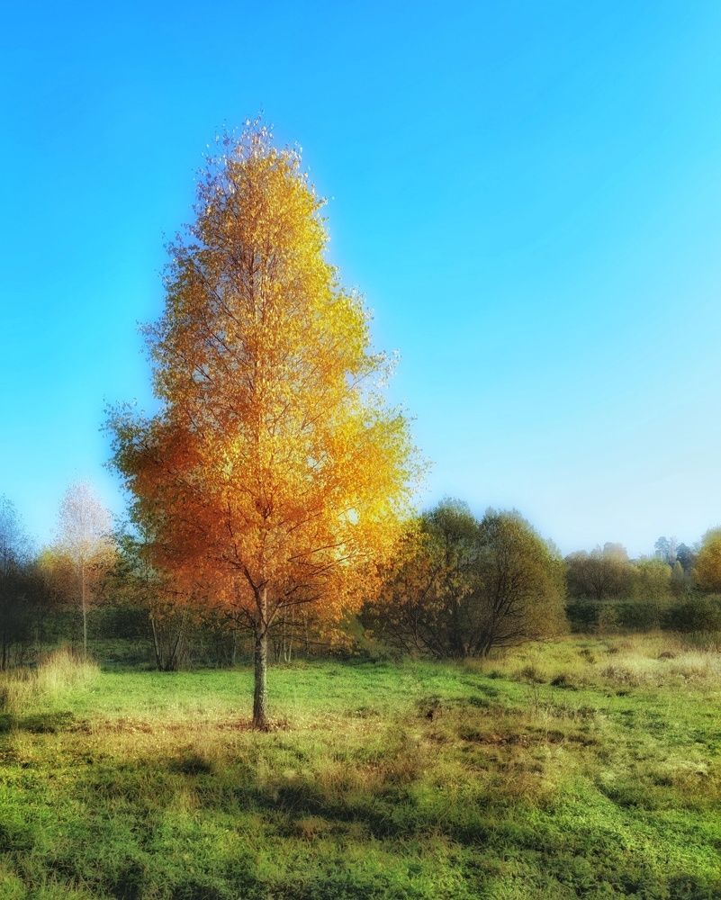 Photograph by Петр Поспелов