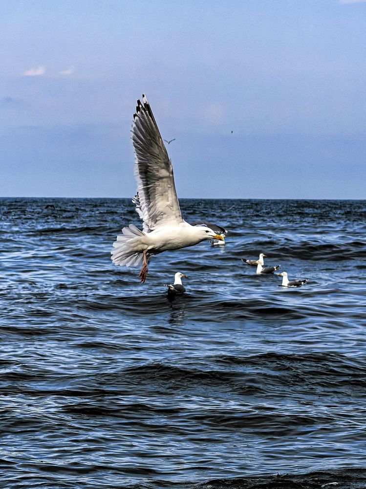 Photograph by Наталья Асоскова