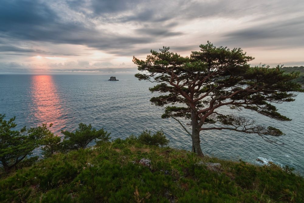 Photograph by Ширгин Сергей