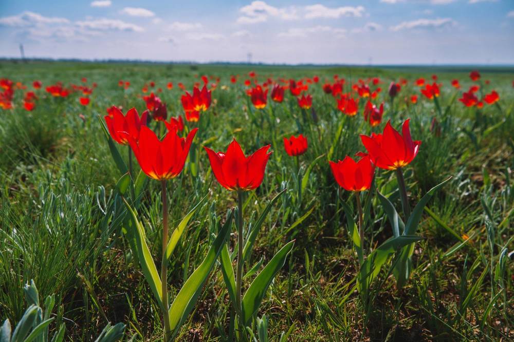 Photograph by Шишкалов Константин