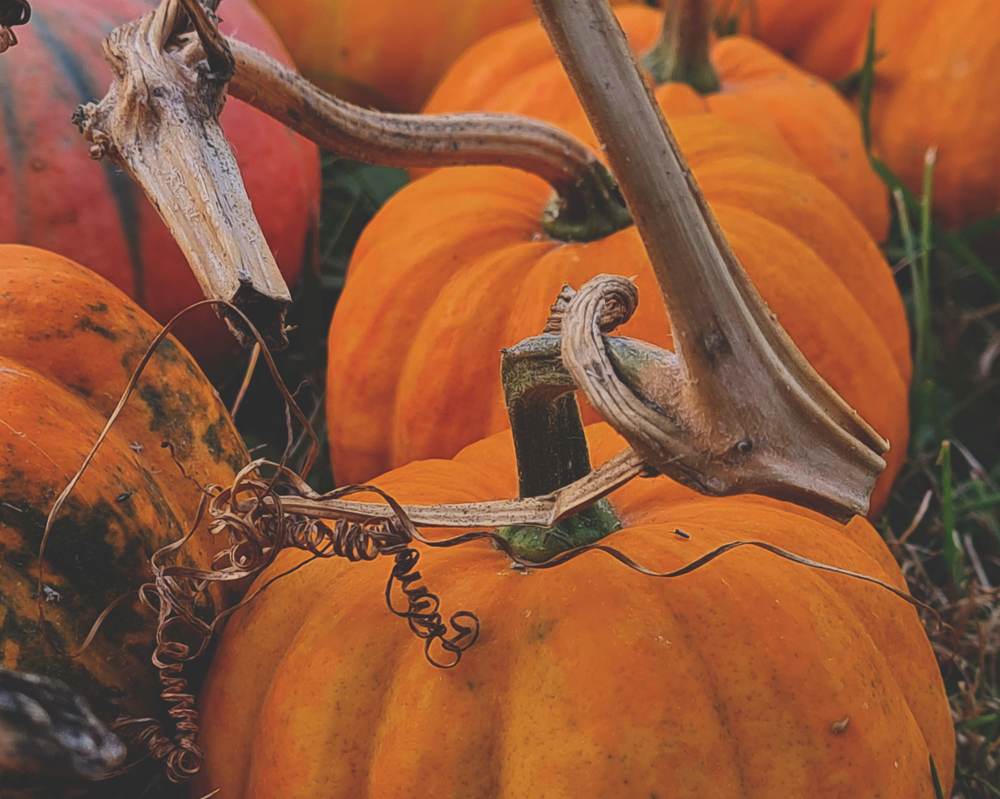 Фотография автора Aliaksandr Kazhdan