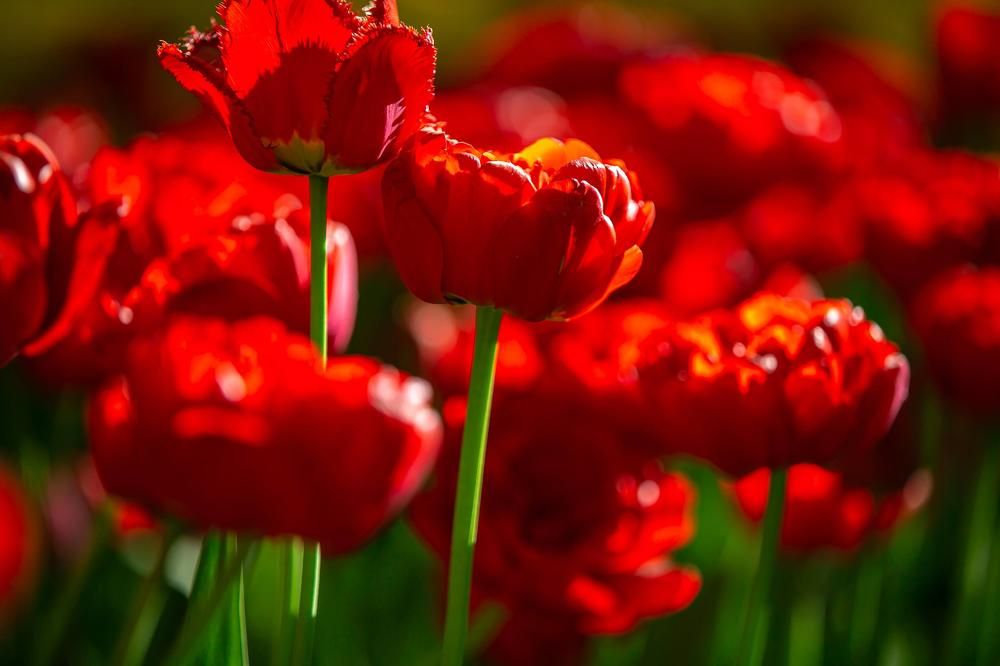 Photograph by Очева Наталья Александровна