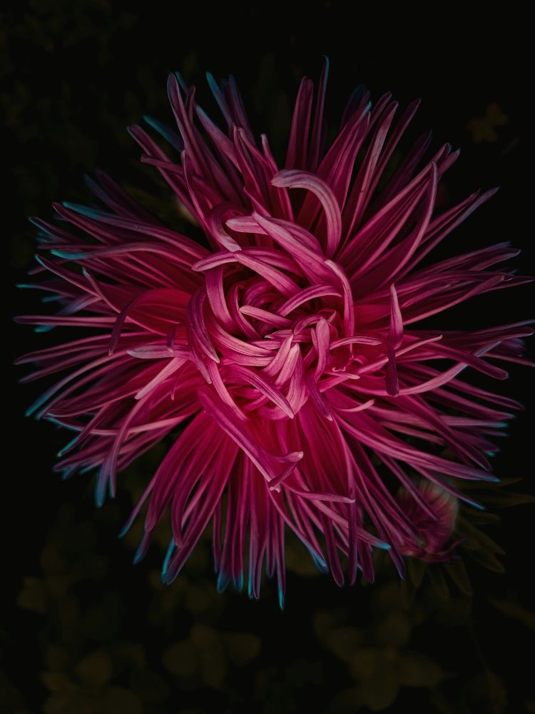 Фотография автора Ольга Кунакова