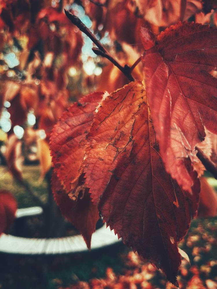 Photograph by Юлия