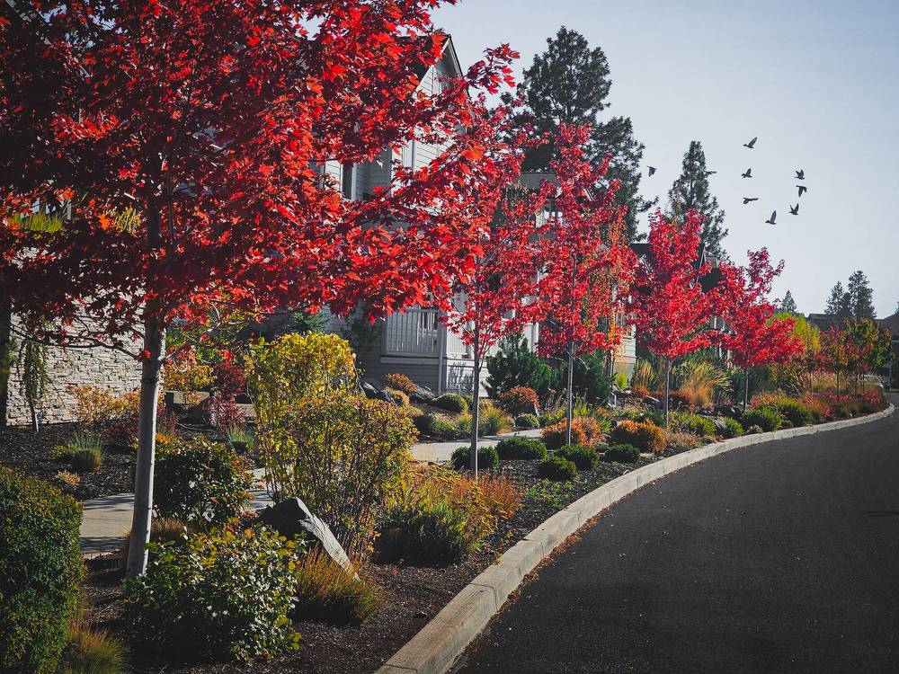 Photograph by Evgeny Pochaev