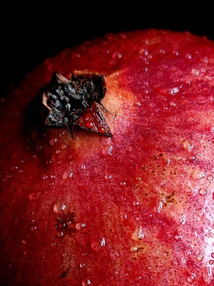 Photograph by Светлана Таркан