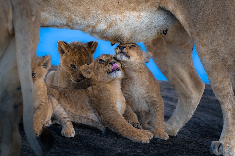 Photograph by Ahmed Sobhi