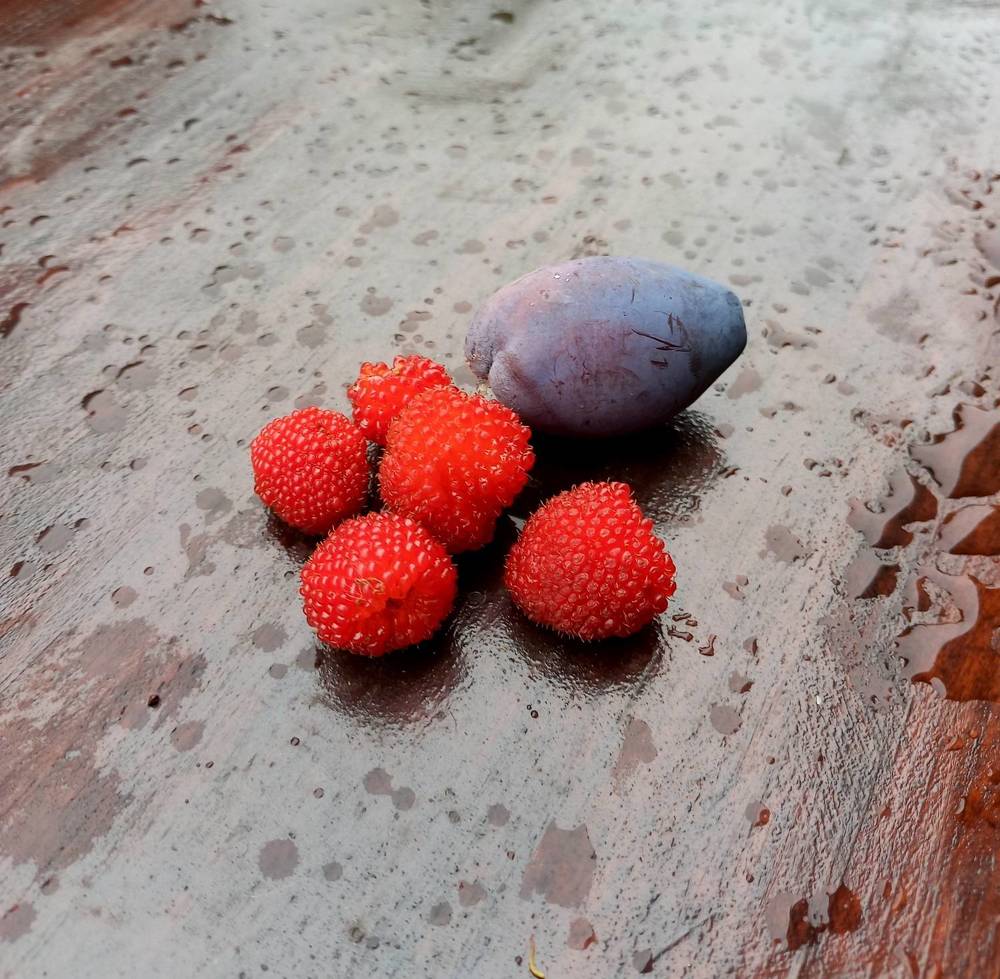 Photograph by Яна