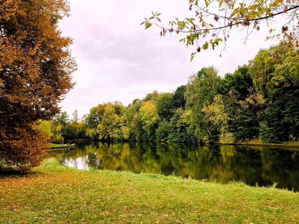 Photograph by Светлана