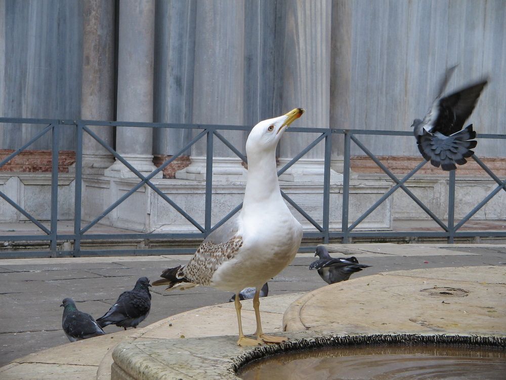 Photograph by Vladimir Rybalko