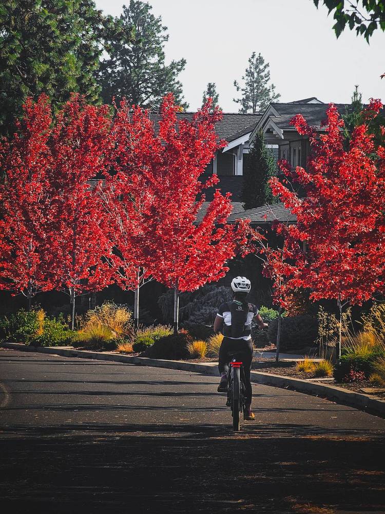 Photograph by Evgeny Pochaev