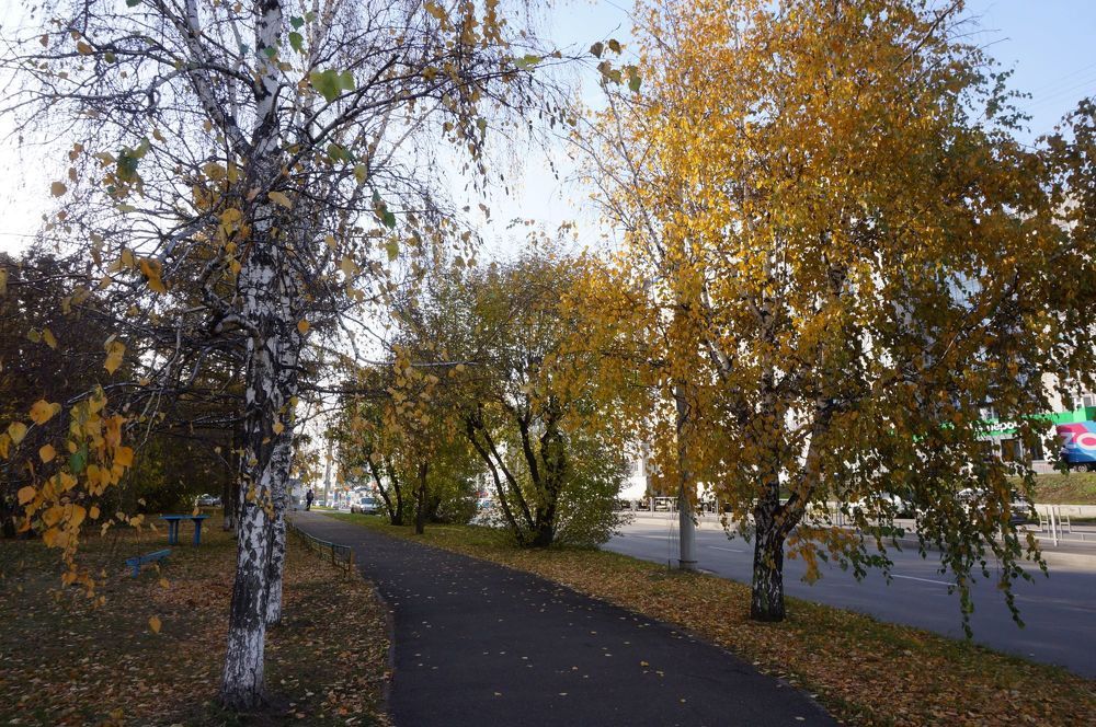 Photograph by Светлана Штабель