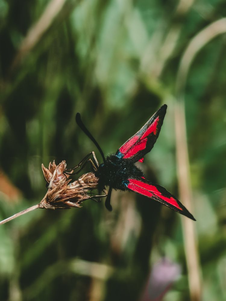 Фотография автора Владислав Белоус