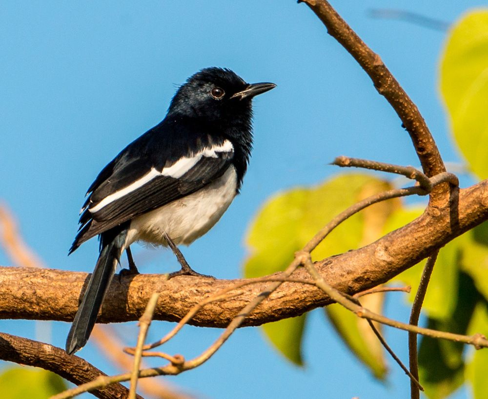 Фотография автора Людмила Прокофьева