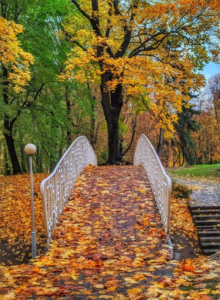 Photograph by Владимир Шаруба