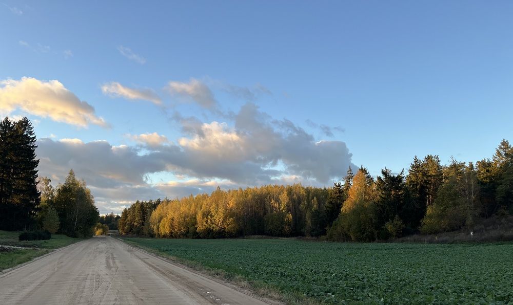 Photograph by Анастасия Стасевич