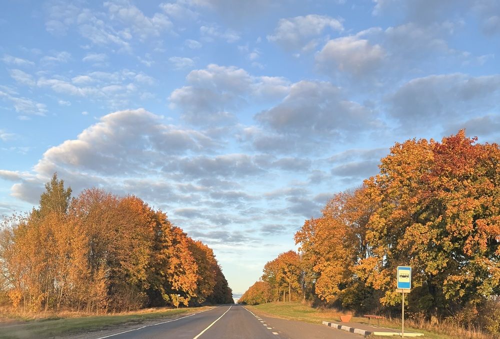 Photograph by Анастасия Стасевич