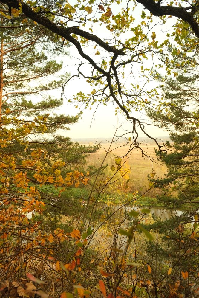 Photograph by Марина Душевина