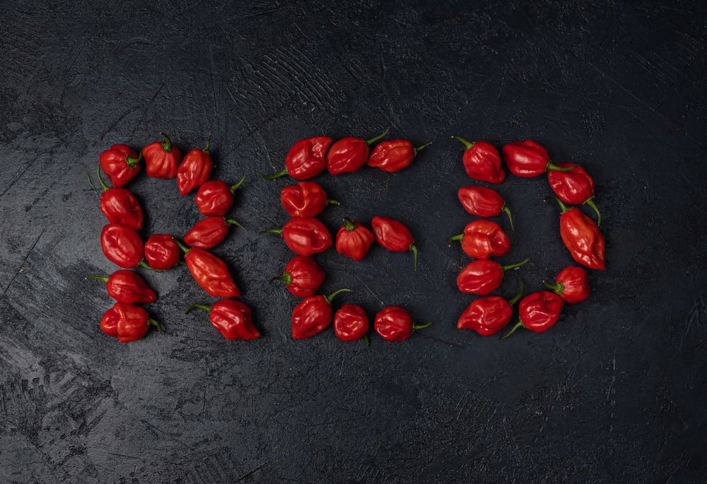 Фотография автора Рустам Загидуллин