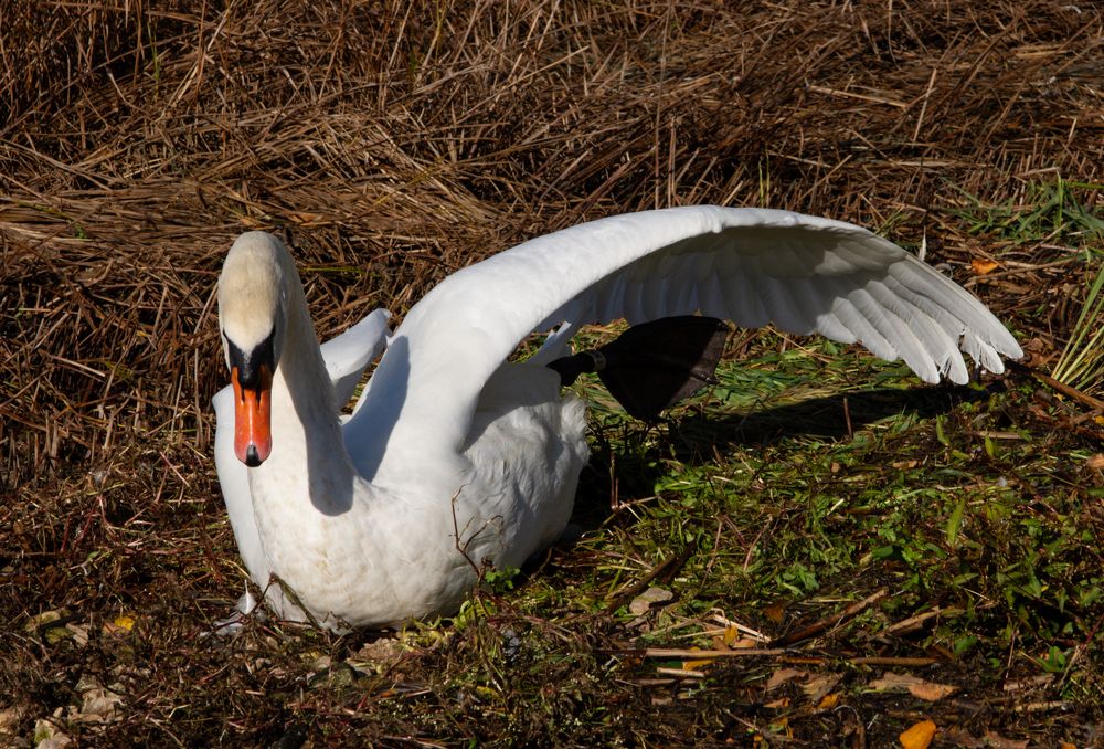 Photograph by Vjaceslavs