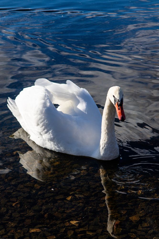 Photograph by Vjaceslavs