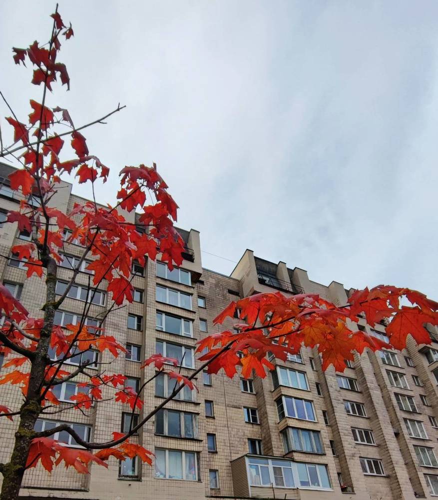 Photograph by Елена Юдина