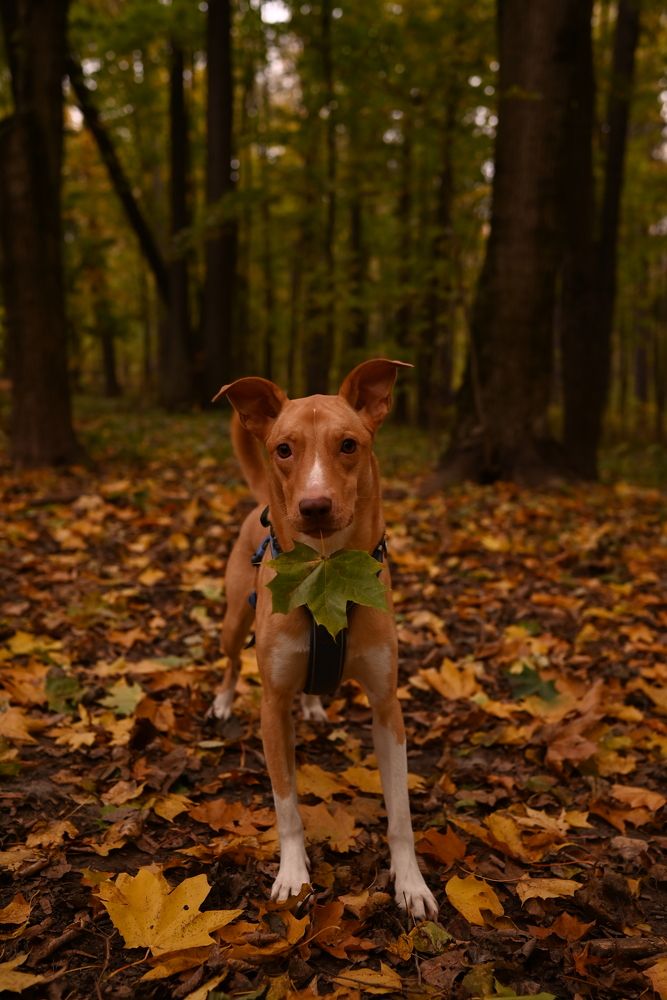 Photograph by Elvira Ner