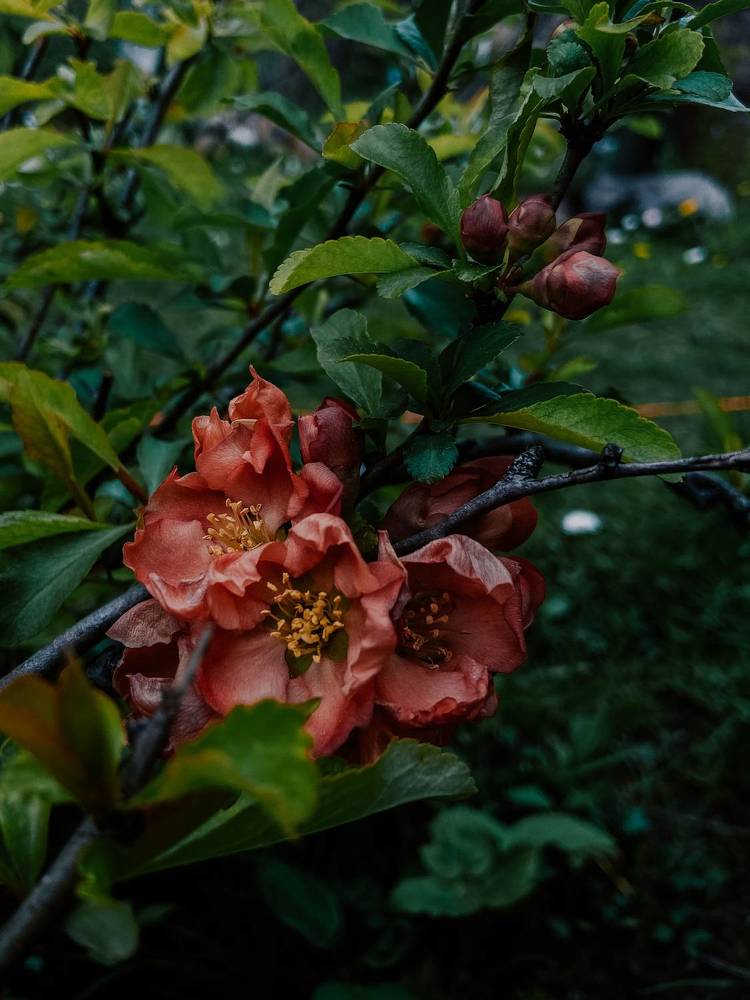 Photograph by Анна Леонова