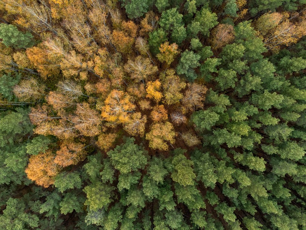 Photograph by Дарья Карамышева