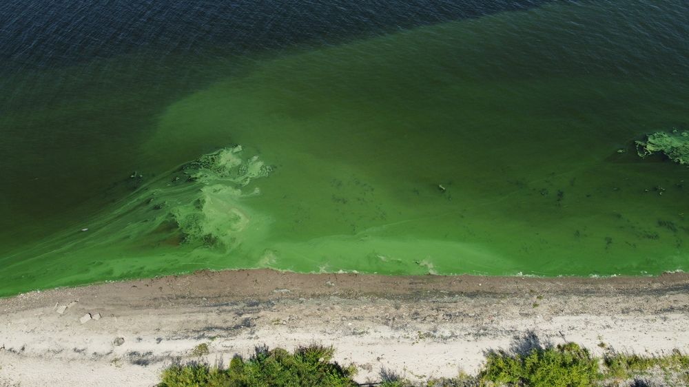 Photograph by Виталий Васильев