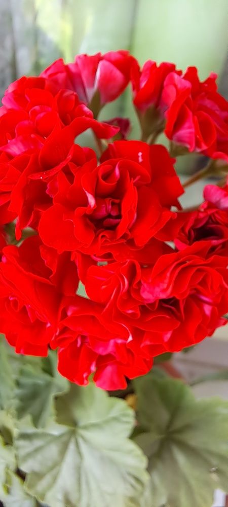 Photograph by Александра Насырова