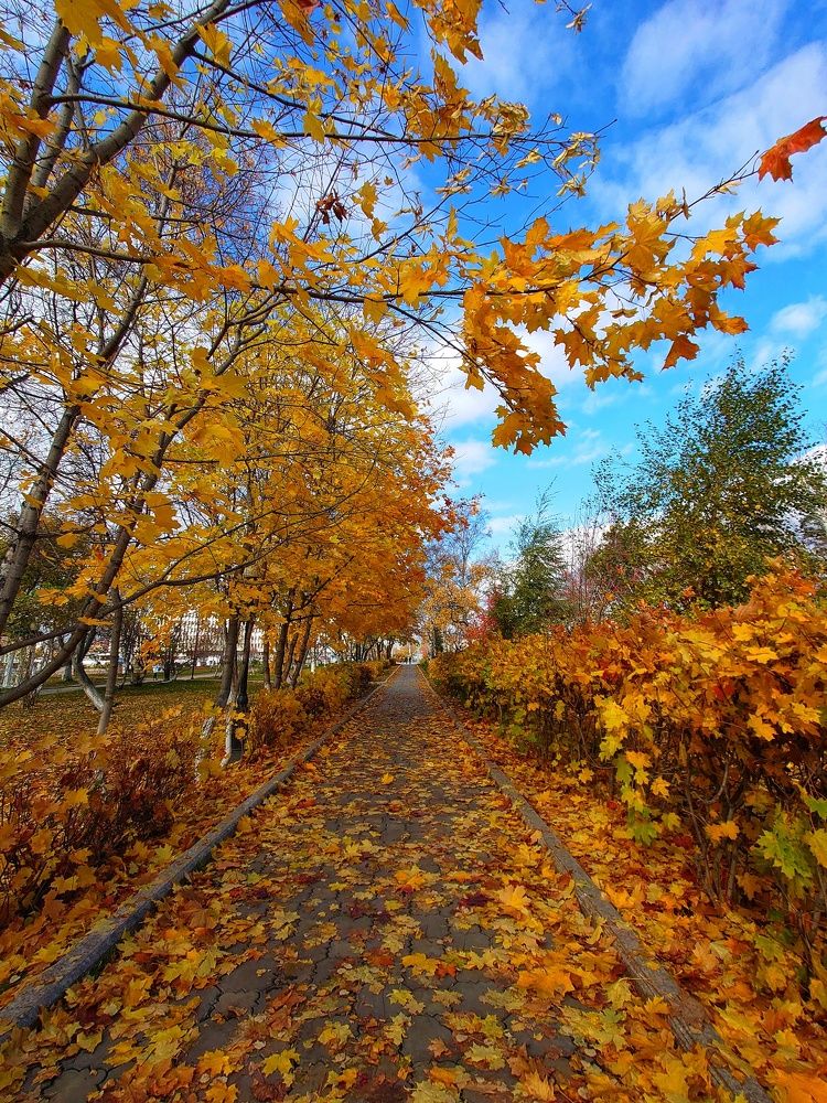 Photograph by Таращук Евгений