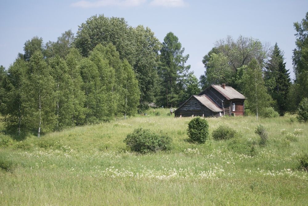 Photograph by Кира Силина