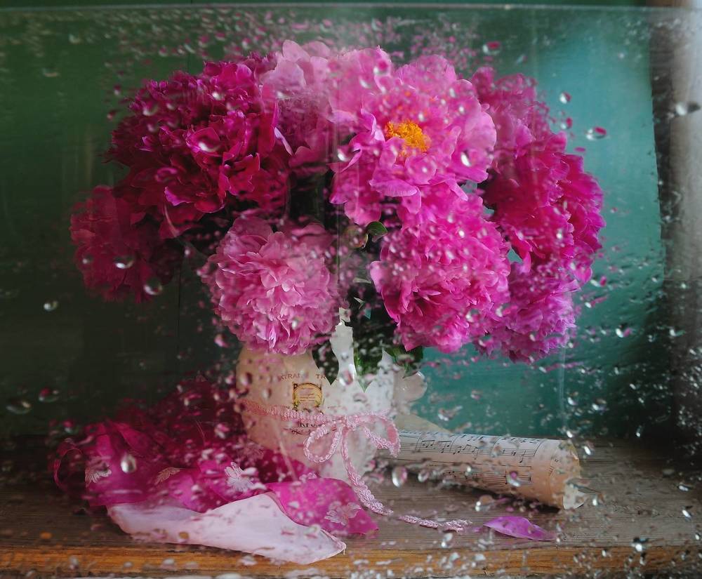 Photograph by Оксана Саранова