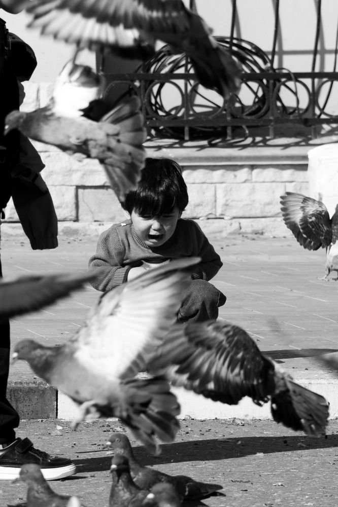 Photograph by Михаил Тюленев