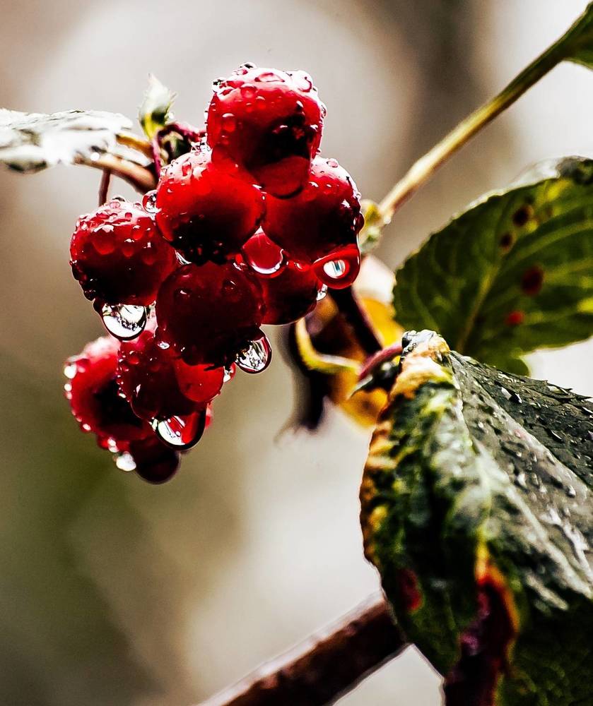 Photograph by Алексей Патрушев