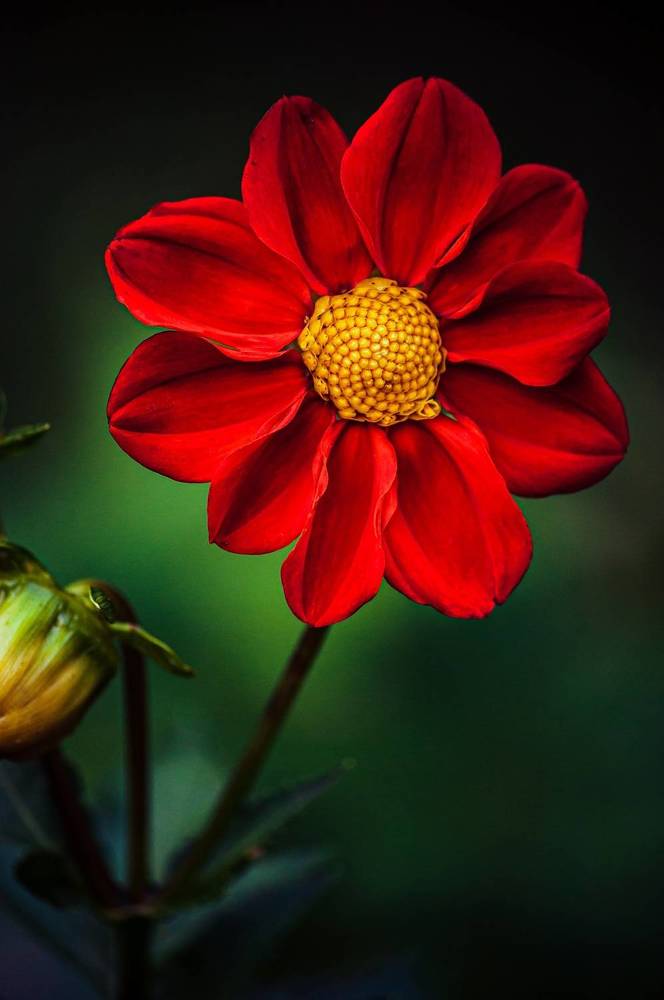 Photograph by Алексей Патрушев